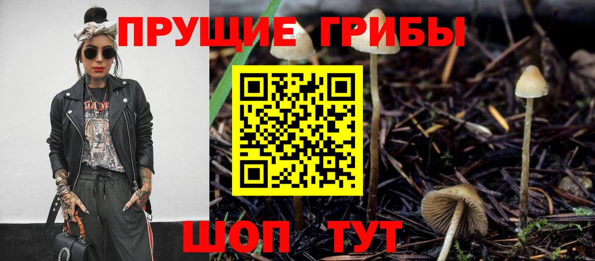 Галлюциногенные грибы мицелий Обнинск